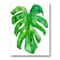 Designart - Tropical Leaf Of Monstera I - Farmhouse Canvas Wall Art Print